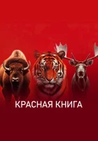  Красная книга смотреть онлайн тв шоу 1 сезон 